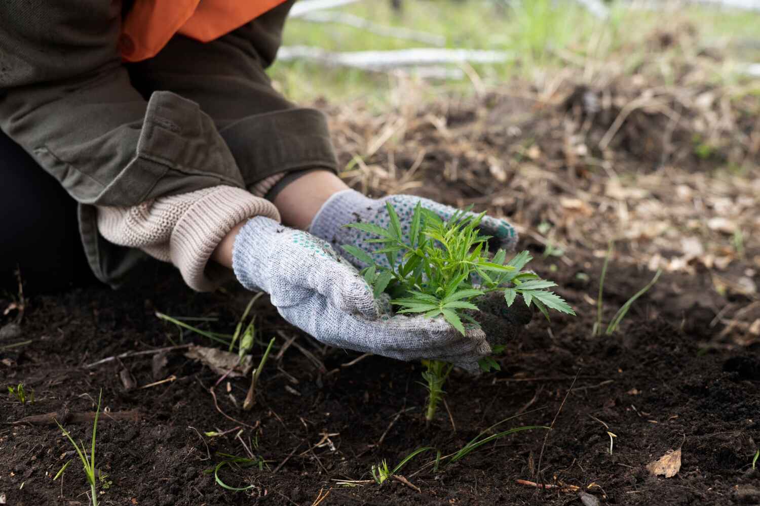 Best Tree Clearing Services  in Marion Oaks, FL